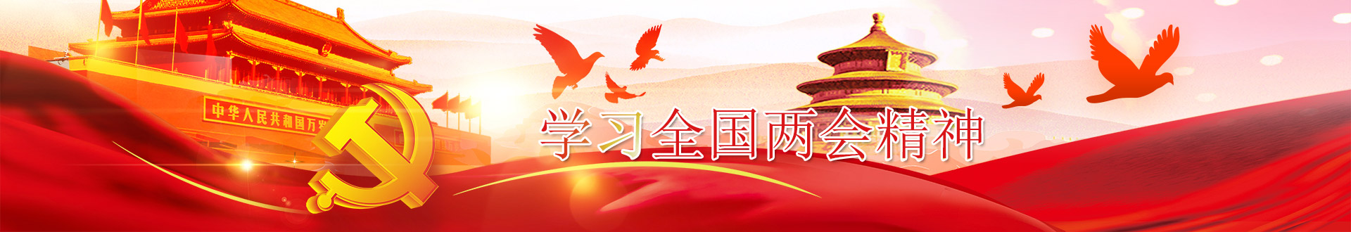 ѧϰ���ᾫ��ר��