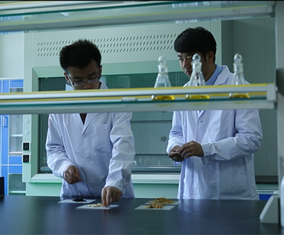 ������Ҫ�š�����ҩҵ�����ٿ�Υ��Υ�����Ͱ���ר�⾯ʾ������